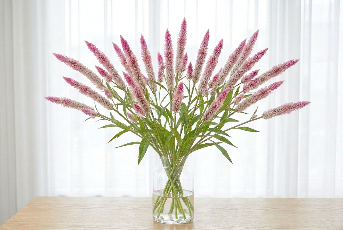 Celosia Flamingo vase arrangement with corrected submerged stem continuity