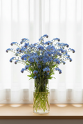 Vivid cornflower-blue Cynoglossum amabile Chinese Forget-me-not flowers on arching branching stems in a clear glass vase, softly backlit through closed white sheer curtains