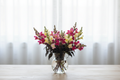 Snapdragon Twilight Mix blooms with near-black foliage in a glass vase in front of white sheer curtains