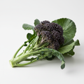 Fresh purple sprouting broccoli with deep violet florets and green leaves