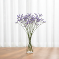 Ten stems of Sea Lavender in a clear glass vase on a wooden table in front of a bright window with closed white sheer curtains