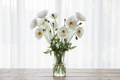 Papaver rhoeas Bridal Silk — pure white bowl-shaped poppy blooms with yellow stamens in a clear glass vase in front of a bright window with white sheers closed