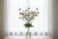 Astrantia major — abundant bunch of delicate star-shaped pincushion blooms in soft white and pale pink in a clear glass vase in front of bright white sheer curtains