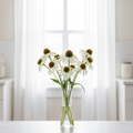 Echinacea Happy Star white coneflowers in a glass vase in front of white sheer curtains