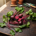 Freshly picked baby beetroots with leaves and stems intact on a rustic potting shed workbench