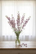 Misty Lavender larkspur vase arrangement with stronger soft frontal lighting