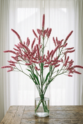 Pink Pokers in a clear glass vase beside closed white sheers, with soft frontal lighting