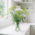 Vierling dill in a clear glass vase on a bright white kitchen bench