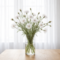 White cornflowers in a clear glass vase by a bright window